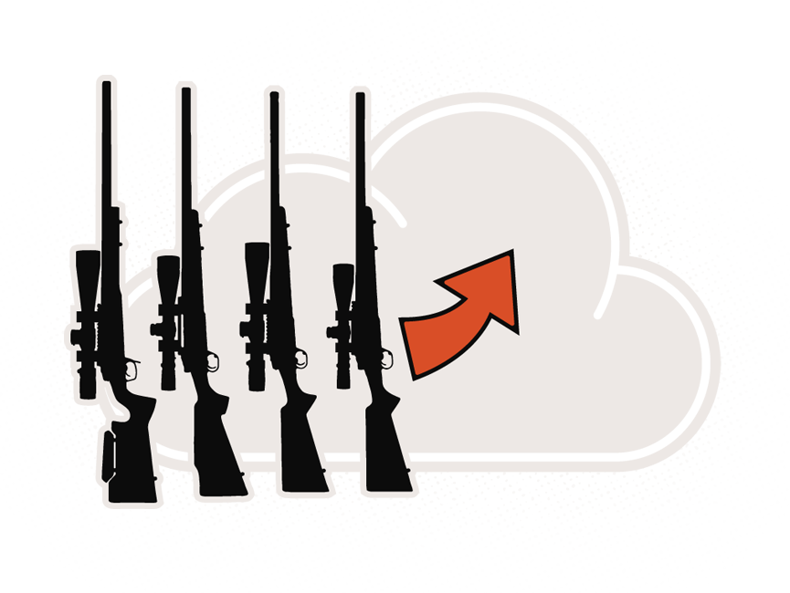 rifle profiles in the cloud